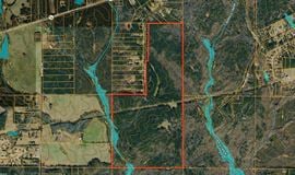 Dub Walker Rd - 314.47 Acres