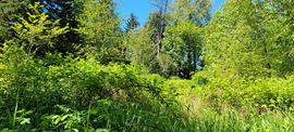 8.38 Acres Residential Development Land
