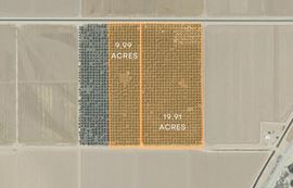±36.41 Acres of Medjool Dates