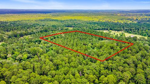 Strategic Land Investment in Trinity