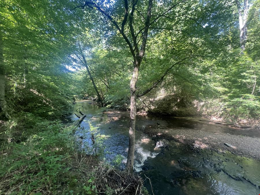 841.49 Acres - Buffalo Creek Timber Farm