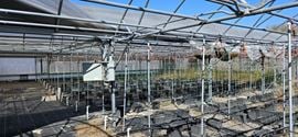 3.25± Acres with 29,000± SF Greenhouses + 2,000± SF Storage/Office (Well, 3-Phase, Near US-27)