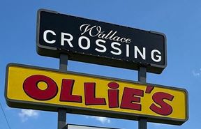 Wallace Crossing Shopping Center