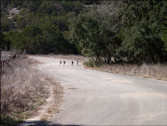 TBD Huntress Lane 