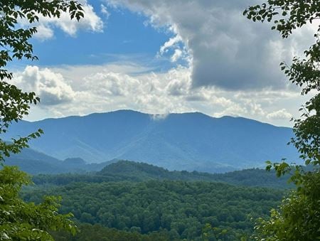 Unassigned space for Sale at 65 Blue Ridge Gem Mine Road in Spruce Pine