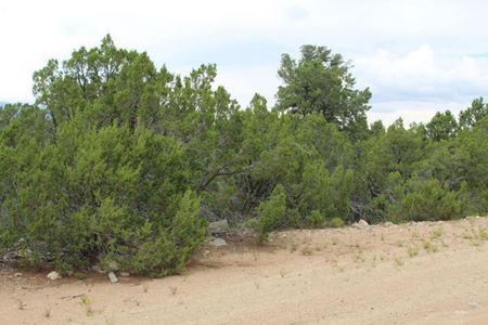 VacantLand space for Sale at 250 Five Hills Dr in Tijeras