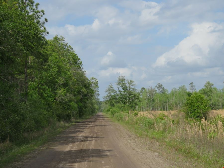 McGee Branch East Tract