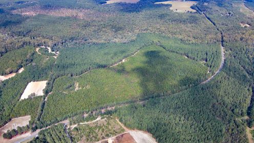 Timber & Recreation Tract