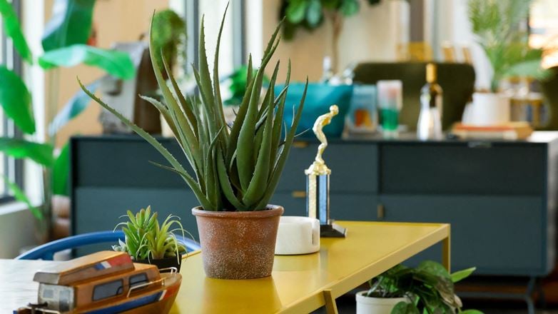 Thrive Coworking - Cumming