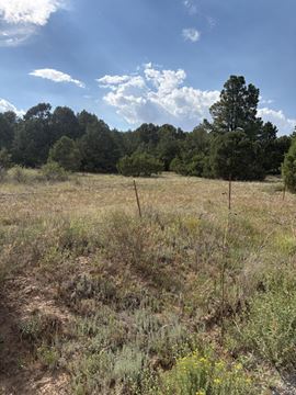 11 Eagle Ln