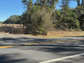 52.6 Acres in Archer
