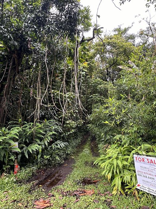 Hana Highway, Hana, HI 96713