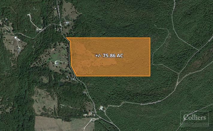 For Sale: 75.86 Acres with +/- 1,400’ Frontage on Wildcat Rd