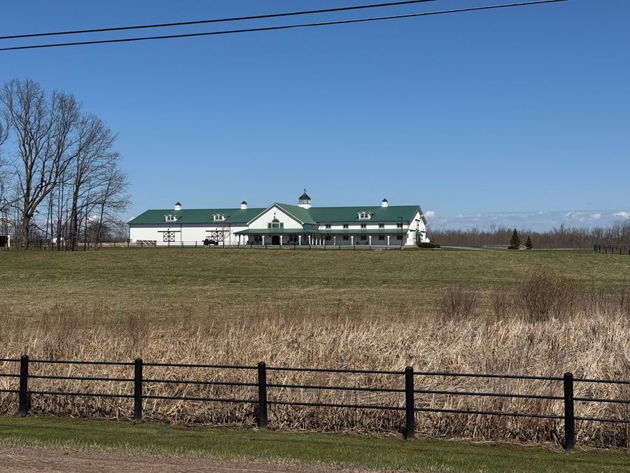 Black Iron Stables