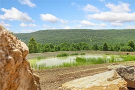 86 Round Mountain Rd