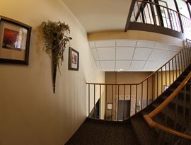 Carlson Business Center