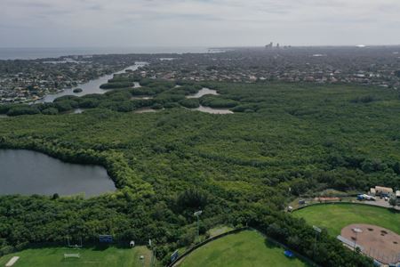 75 Acres of Wetland for Development Mitigation - St Petersburg
