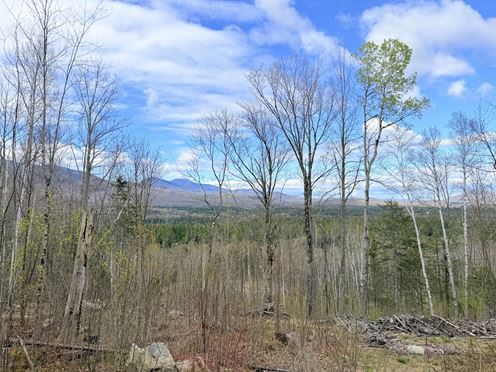 Route 3 North, Carroll, NH (lots 43 & 46)