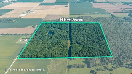 VacantLand space for Sale at County Road 307 in Advance