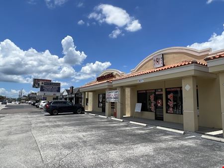 South Tampa Retail - Tampa