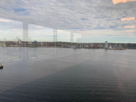 1608     Galerie de photos de l'espace 9