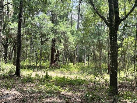 VacantLand space for Sale at 3575 South Street in Titusville