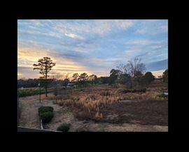 Seven(7) Different 10 acre lots in Wallace NC