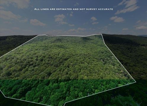 173 ACRES MOUNTAIN-SIDE LAND