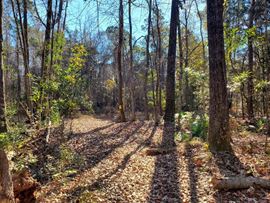 25 Acres for Sale in Meggett
