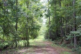 Florida River Timber & Recreational Tract