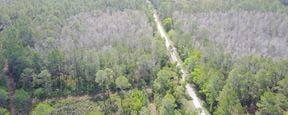 Southwest Florida Water Management District Surplus Properties: Green Swamp East