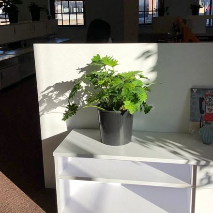 Launch Louisville - Epping District Coworking