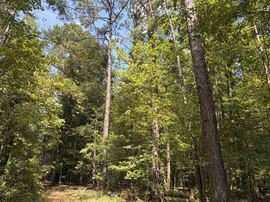 Beatrice 20 AC Tract