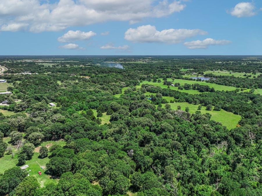 Land for Sale in Wills Point