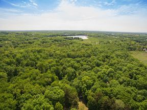 17.41 Acres Wooded Acreage For Sale Onsted, MI