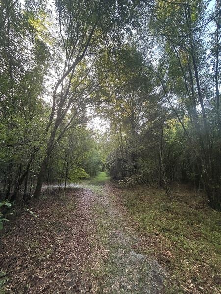 VacantLand space for Sale at SW Bellows Way in Fort White