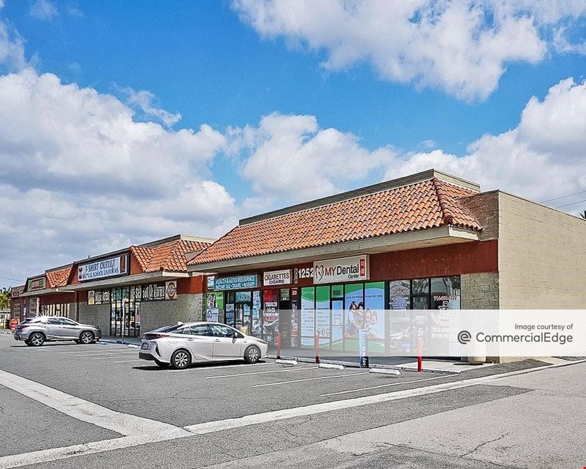 1250-1284 North Euclid Street & 1581 West Romneya Drive