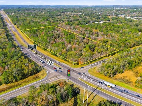 Brooksville 13.74 Acres Vacant Commercial