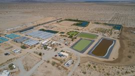 Global Organic Farm, Inc.