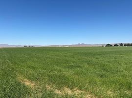 Excellent Vegetable Farmland: ±110 Water Acres in Wellton