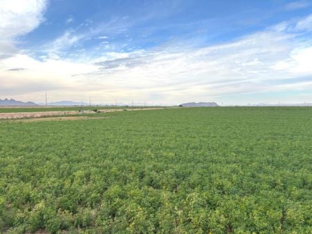 VacantLand space for Sale at 400 Acre Pump Farm in Tacna, Avenue 41 E and County 7 St S in Tacna