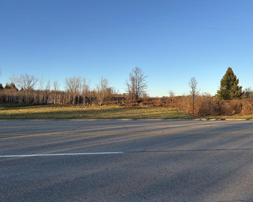 Vacant Industrial Land 