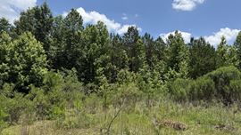 42.02 Acres | Residential Development Opportunity in Dothan, AL