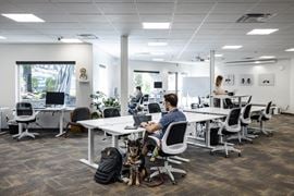 Cowork Tahoe - Untethered