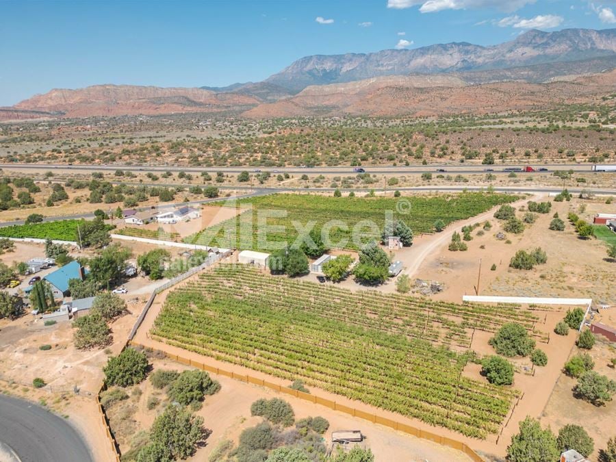 Winery For Sale In Utah!!