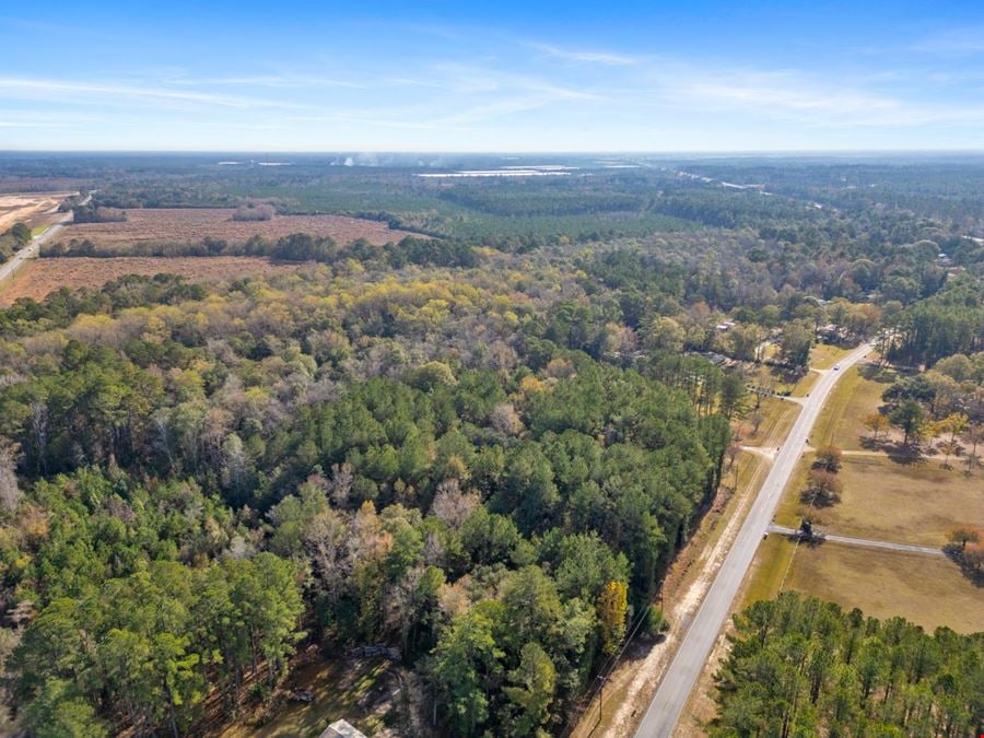 170 Acre tract Hwy 80 Ellabell GA