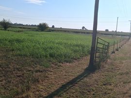 10 Acres of Commercial Land in Neosho, MO