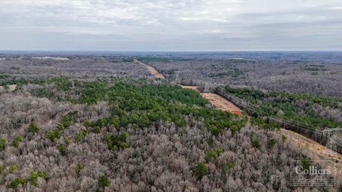 ±105-Acre Recreational Tract with Practical Homestead Sites
