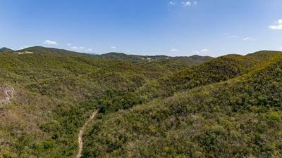428 Cuerdas @ Cumbres de Peñuelas - For Sale