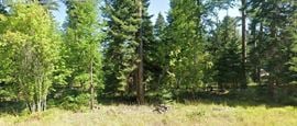 1.5 Acre Lot with Johnson Creek Frontage near Swan Lake